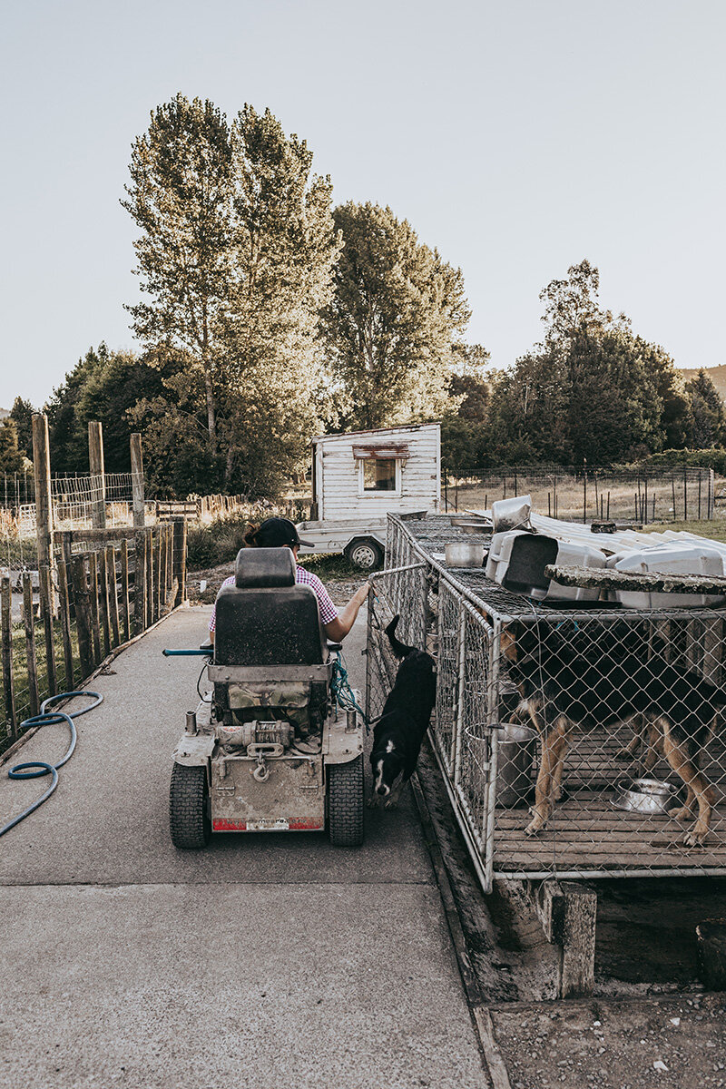 Anita Kendrick next to dog kennels