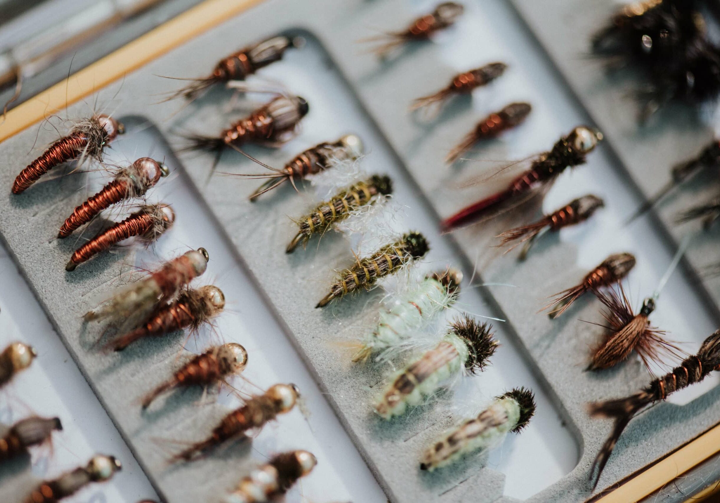 some of Bronwyn's flies