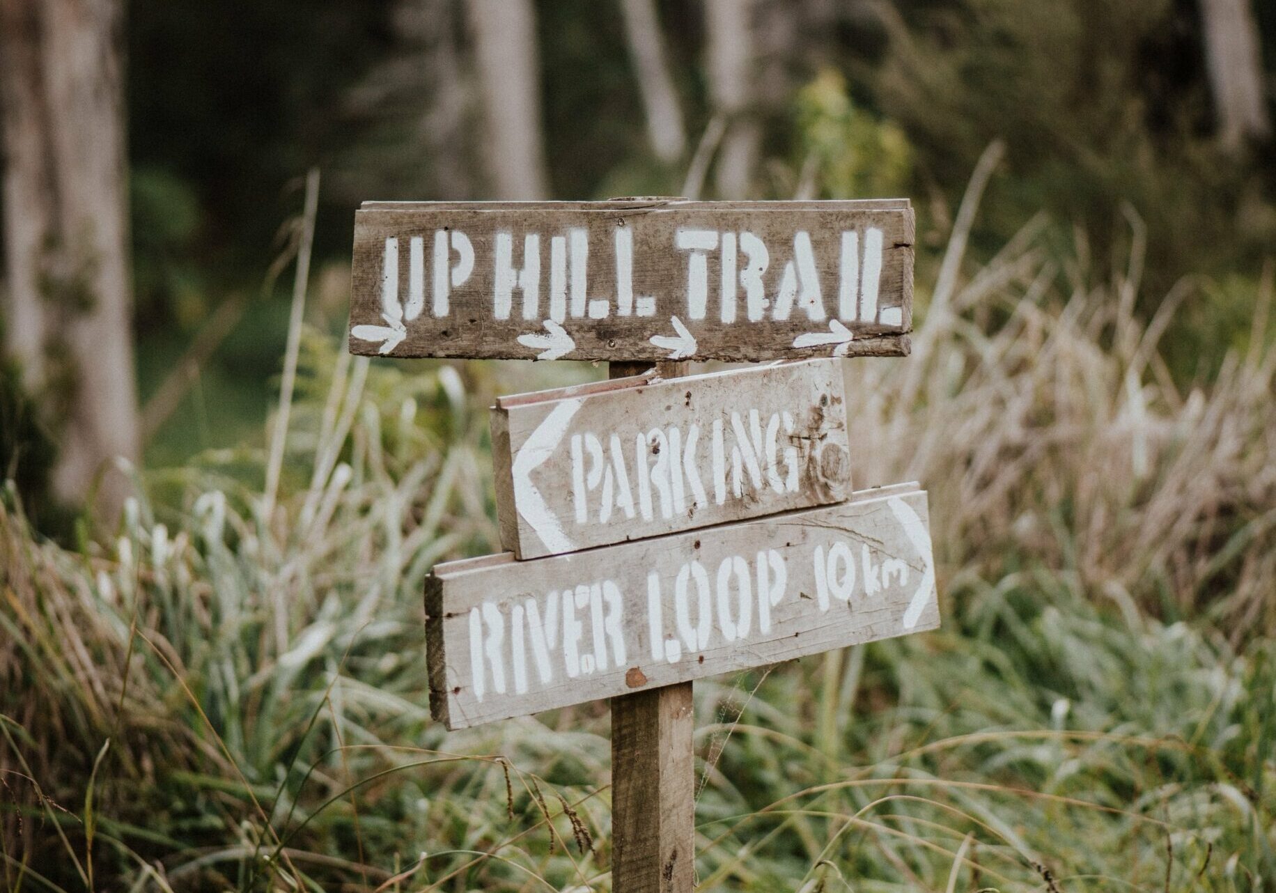 Trail signs at That Place.
