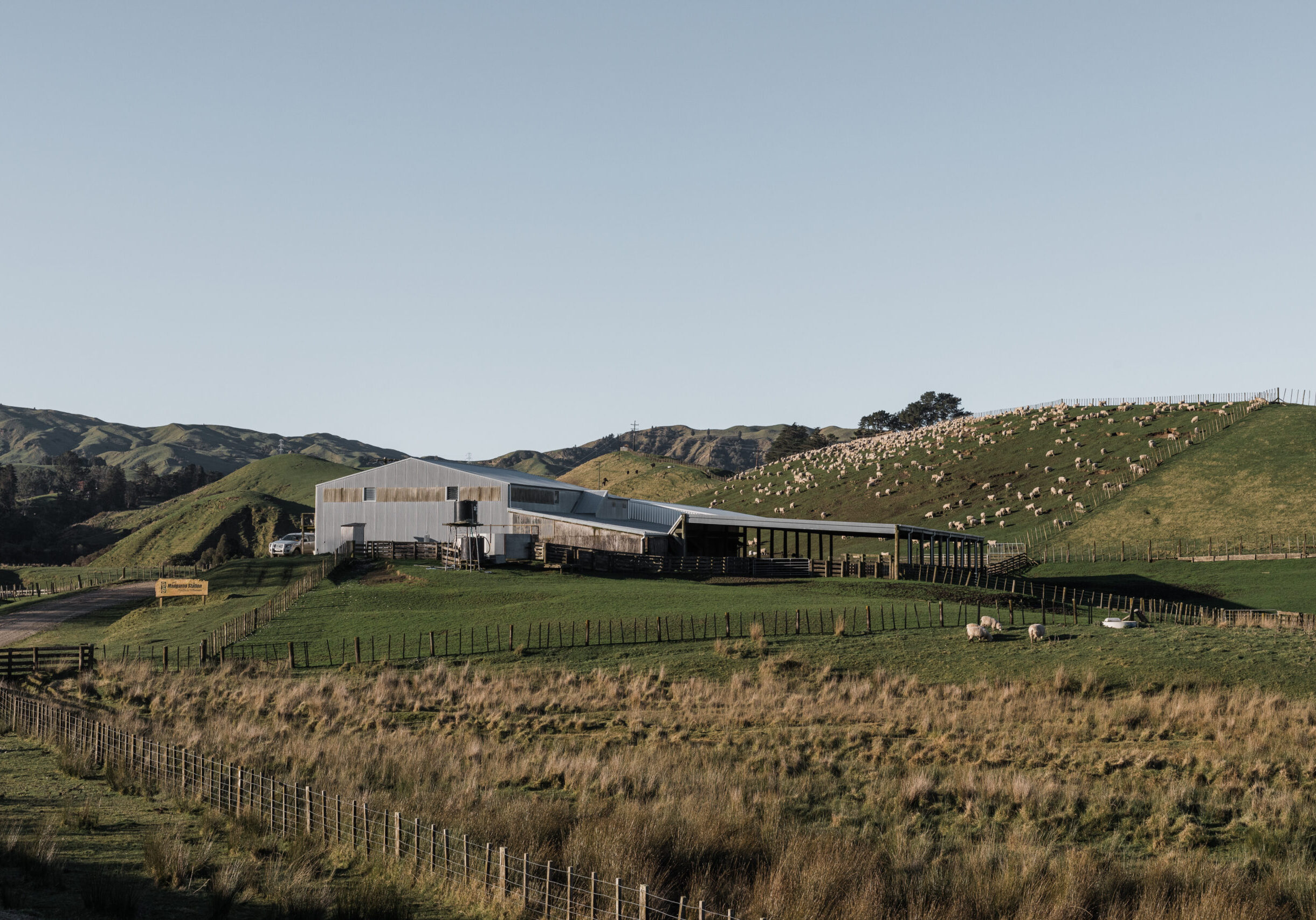"It was a big cost to us to put two water systems in, but we're realising the value of that investment already," Nuku says. "We've got about 150 troughs placed at the top of two thirds of the paddocks, which means better grazing, better utilisation of those paddocks, and keeps stock out of the creeks."
