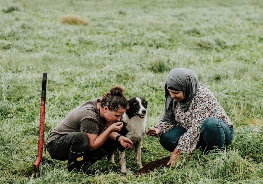 Two women and a dog crouching in a grassy paddock to inspect the soil.