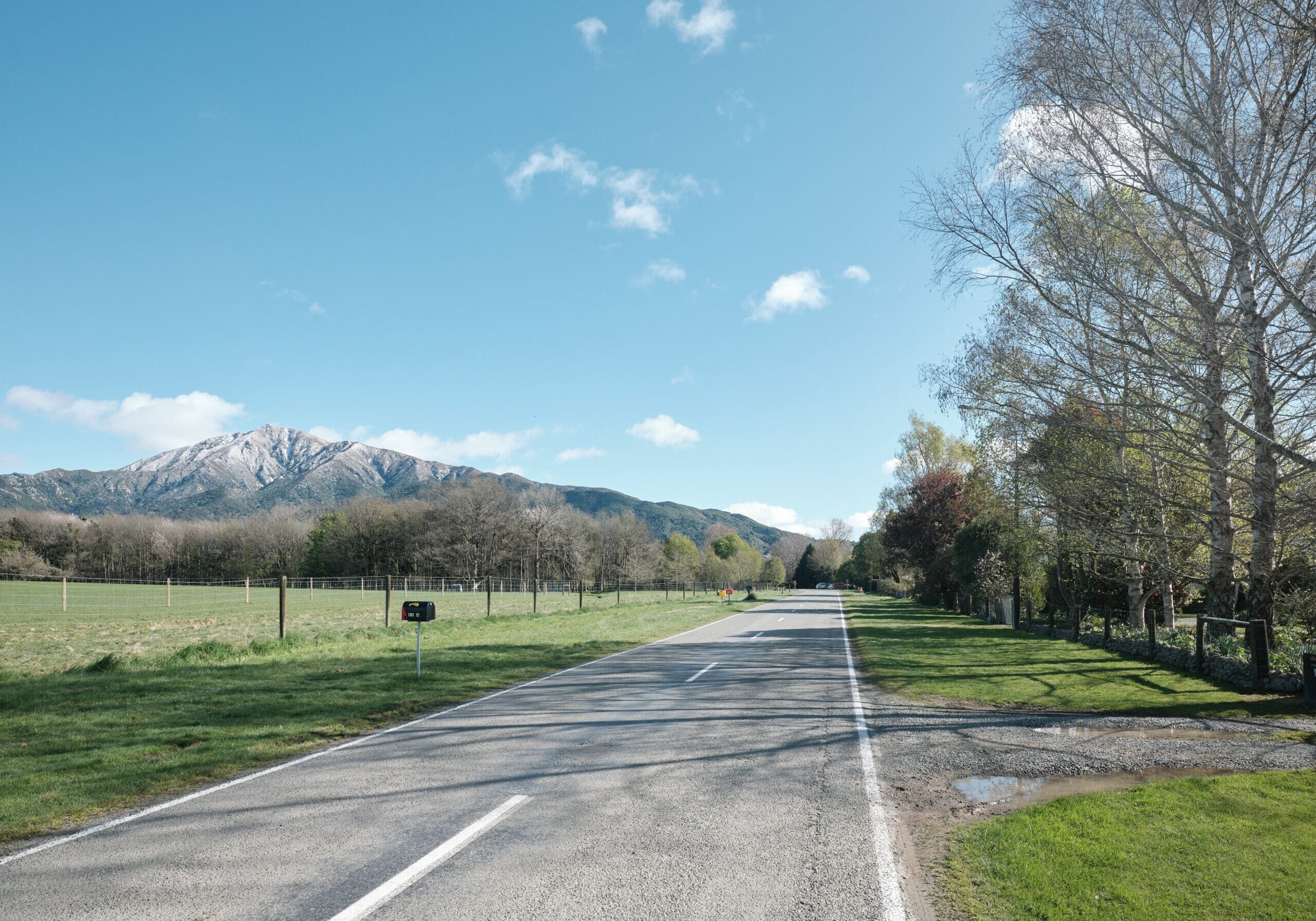 Scenery at Peel Forest