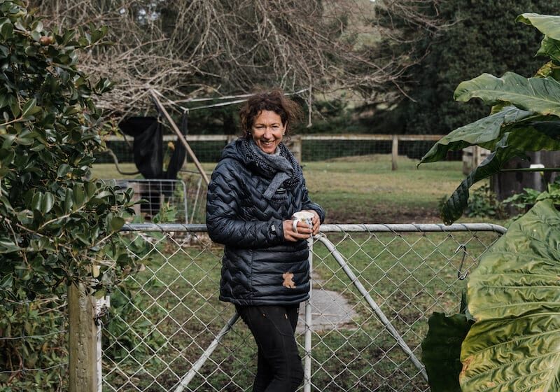Rose leaning on a farm gate