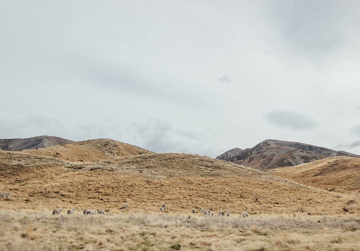 Sandy hills