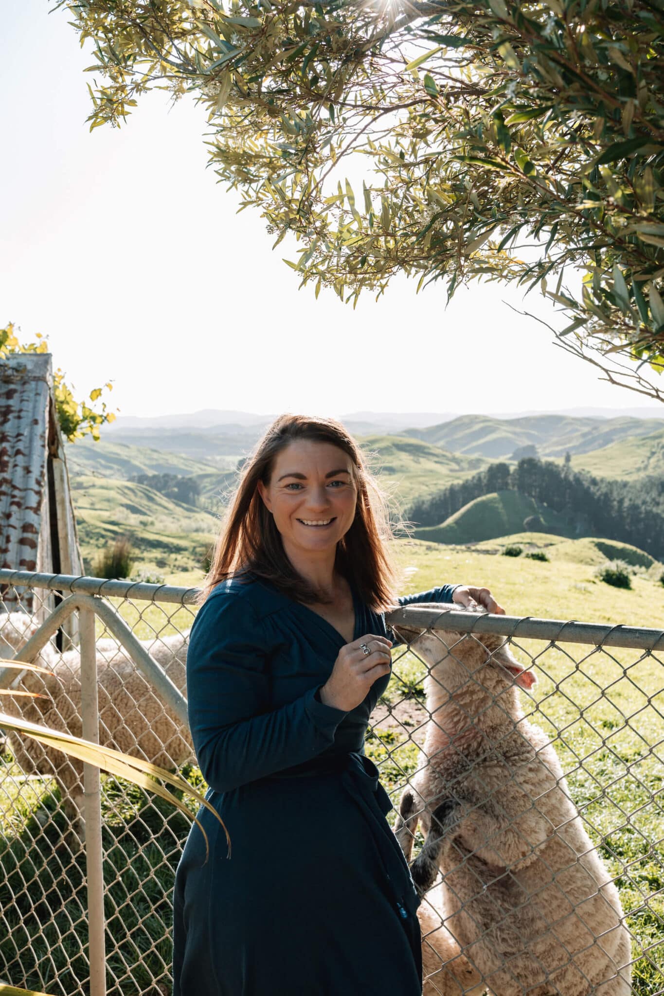Woman leans against a farm gate and pats a sheep on the other side.