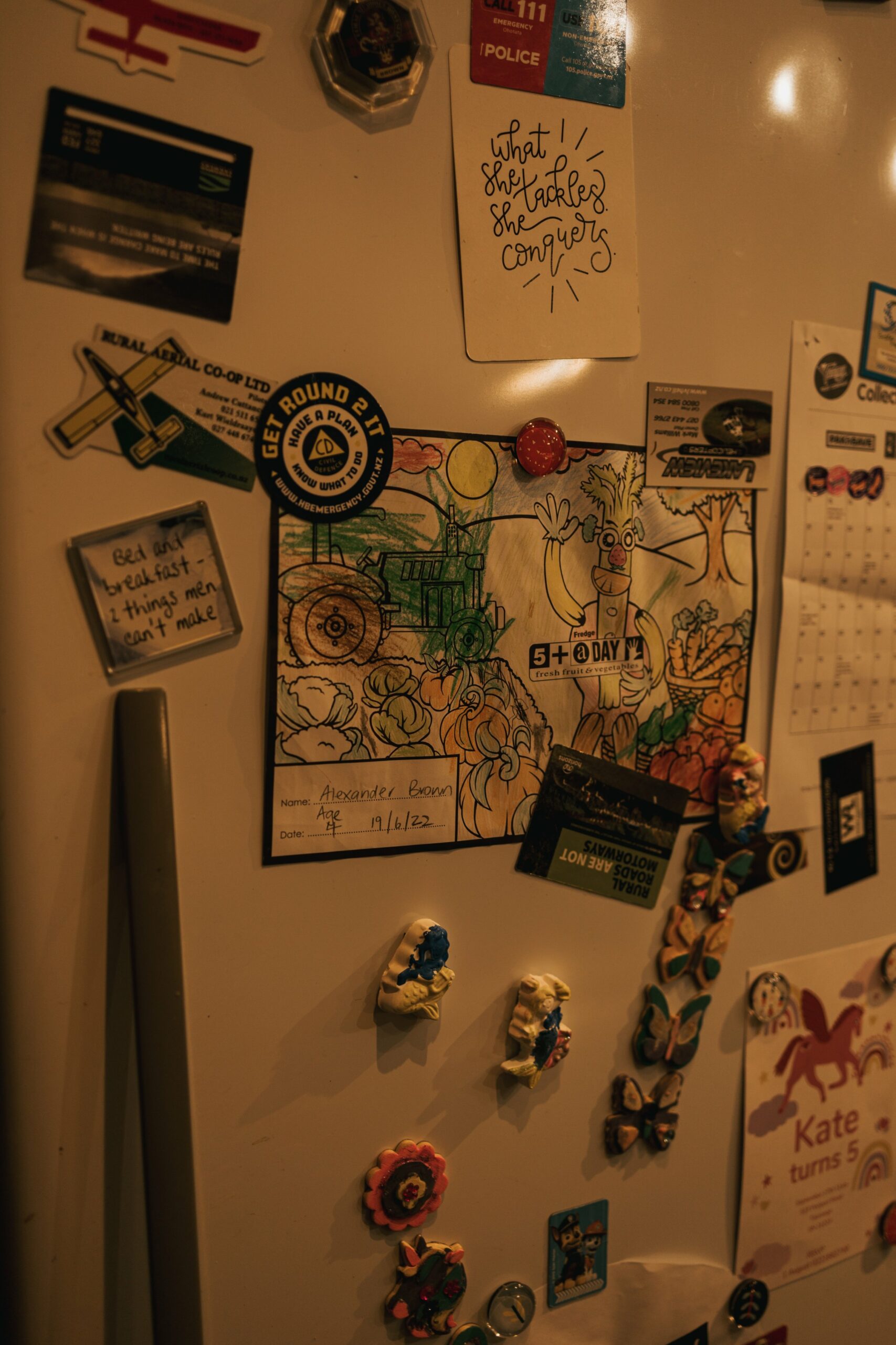 A busy fridge door